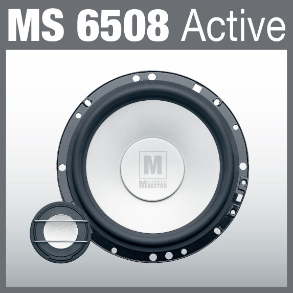 MS 6508 Active